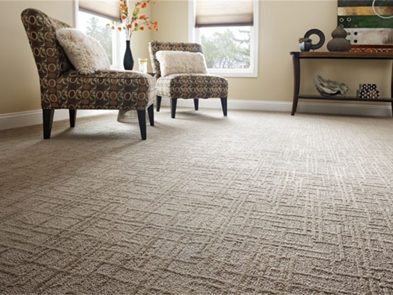 Pattern Carpet In A Living Room